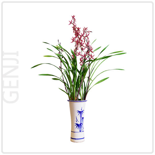 IMG-PRODUCT